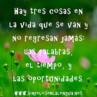 Frases Para La Vida: Hay Tres Cosas En La vida Que Se Van Y No Regresan Jamás Las Palabras El Tiempo Y Las Oportunidades