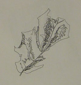 pen drawing of a dead leaf