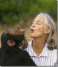 jane-goodall, hooting with chimp