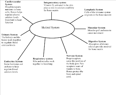 inference graphic organizer. 5 Examples Of Web Browsers