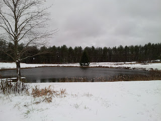 snow covered landscape