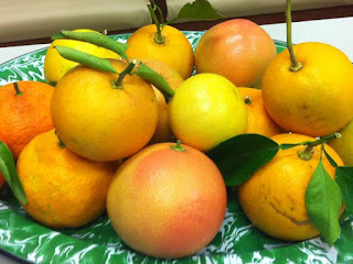 Fairchild Tangerine Fruit Pictures