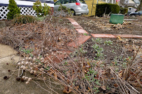 April garden clean up