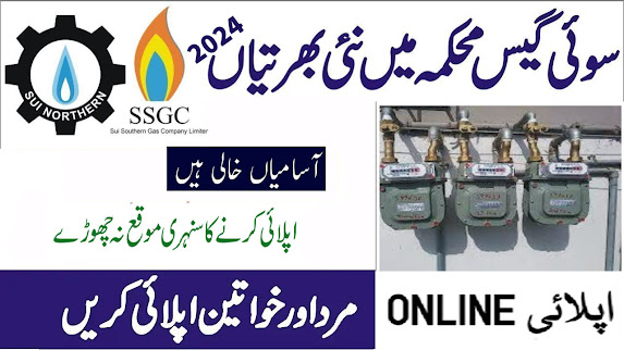 Sui Southern Gas Company Limited SSGC Government Vacancies 2024