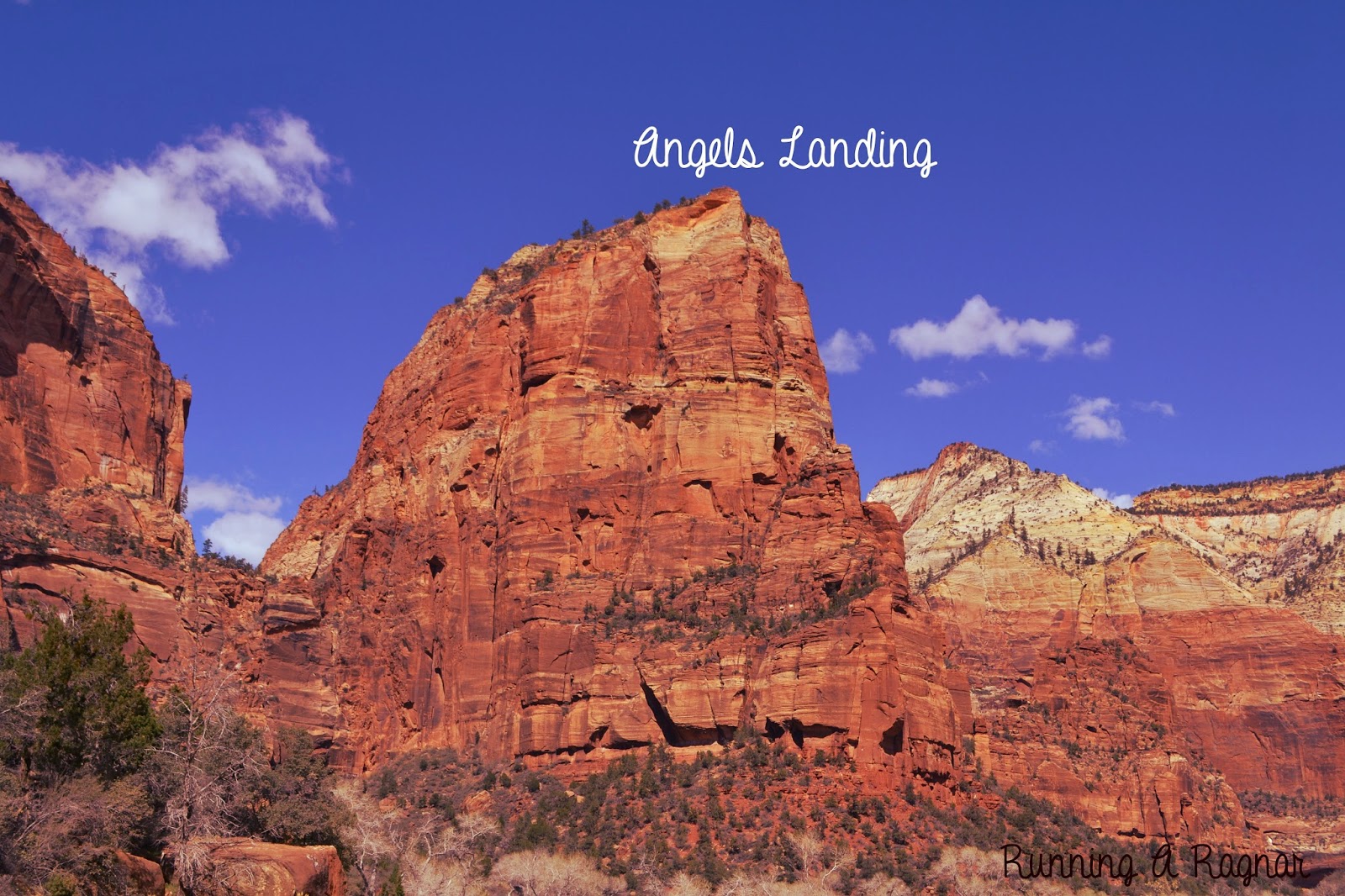 Katie Wanders : Angels Landing Trail, Zion National Park