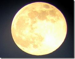 CA390068-1