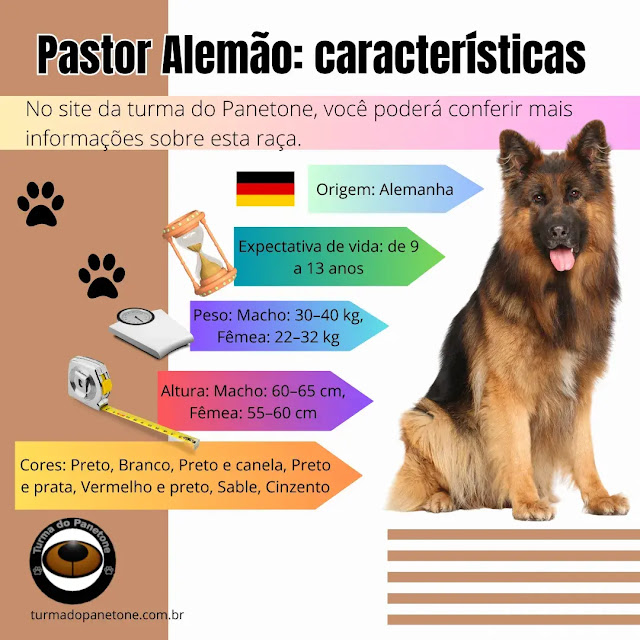 Pastor Alemão: Características