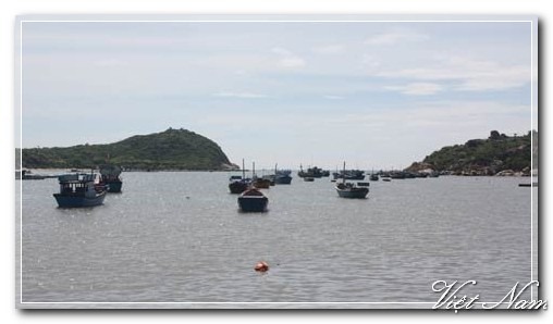 20111119165402_hinh3