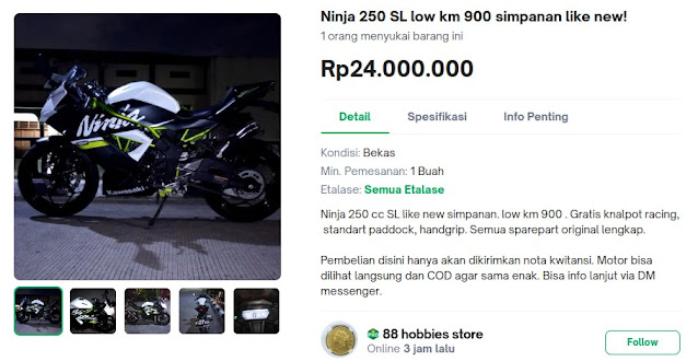 Kawasaki Ninja 250 second
