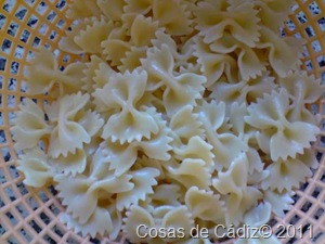 Lacitos con Pollo 4