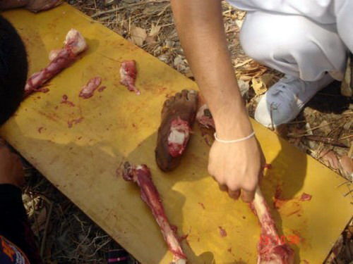 Heboh Foto Aliran Sesat, Membunuh Dan Berpesta Memakan Daging Manusia [ www.BlogApaAja.com ]