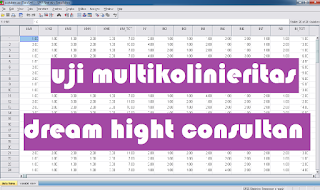 uji multikolinieritas, tolerance, VIF, studi kasus, contoh