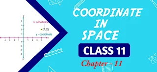 Coordinate in Space Class 11 Mathematics Solutions |