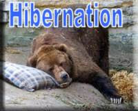 link to Hibernation directory