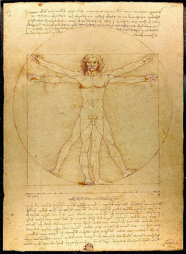 El hombre de Vitrubio. Leonardo da Vinci