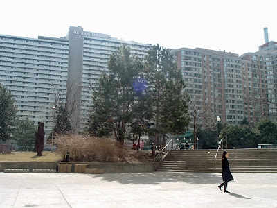 [Photo: more trees at College Park.]