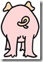 back of a pig