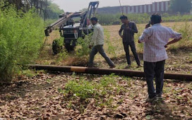 यूपी : मेरठ आंधी में गिरे विद्युत पोल गिरने से आपूर्ति हुआ ठप, वहीं ऊर्जा निगम को लाखों का हुआ नुकसान। 