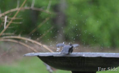 Water splashing all over