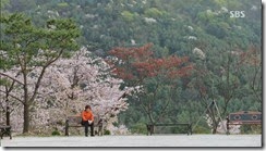 vlcsnap-2014-05-03-15h04m42s239