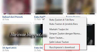 Download Album Facebook Dengan Fluschipranie, download album foto teman dengan satu klik