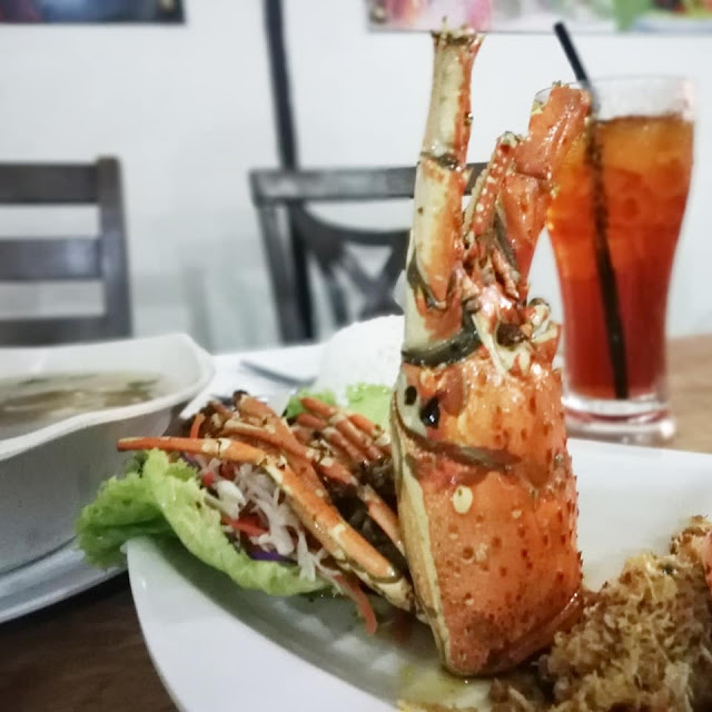 SEAFOOD DAN LOBSTER CENANG LANGKAWI - Allahu sebelum buat enti makan lobster bulan puasa di RED LOBSTER AEON MALL SHAH ALAM. Mummy dok cari kat blog, google balik kisah kami makan lobster di Cenang Langkawi tahun 2018 (lepas mengundi). Cari punya cari..tak ada ! Ada update dalam Facebook je rupanya ! Gitulah kan, kalau kita tak displin menulis segala mak nenek kisah travel, nak cari untuk di jadikan sebagai rujukan sendiri pun tak ada. Yes, mulai hari ini saya nak lebih rajin menulis ! (kononnlahhhh)    SEAFOOD DAN LOBSTER CENANG LANGKAWI   Bebalik kisah kami makan SEAFOOD DAN LOBSTER CENANG LANGKAWI details kedai ni memang tak sempat nak ambil gambar atau nak ingat balik nama kedai. Sebab masa ni, Dzal kejap - kejap nangis ! Kaki sakit katanya, kami suspek kena obor-obor. Tapi, memang kena obor-obor pun ! Hati-hati ye yang suka bercanda di tepian pantai cenang. Kami tak mandi laut pun masa ni. Pun anak boleh kena !