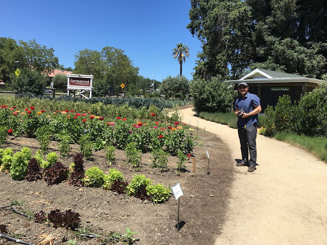 http://www.chriskiki.com/2017/06/visiting-gardens-at-anapa-valley.html