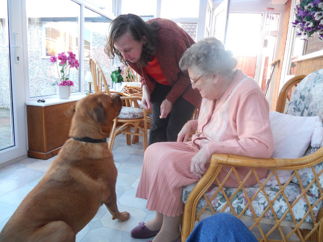 Sheba looking up at Anne and Grandma.