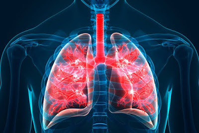 New Targeted therapies developed to reduce lung fibrosis