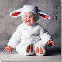 TA67SheepCD12