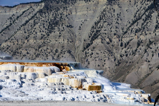 Mammoth hot springs