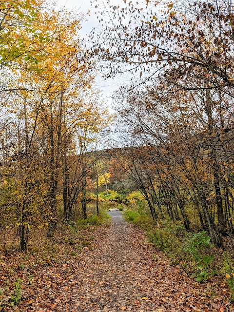 Windham Path Catskills NY