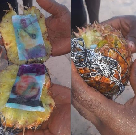 Is It Oath Of Love Or Love Charm? - See Photos Of A Man and Woman Found Inside A Pineapple Which Washed Up From The Sea