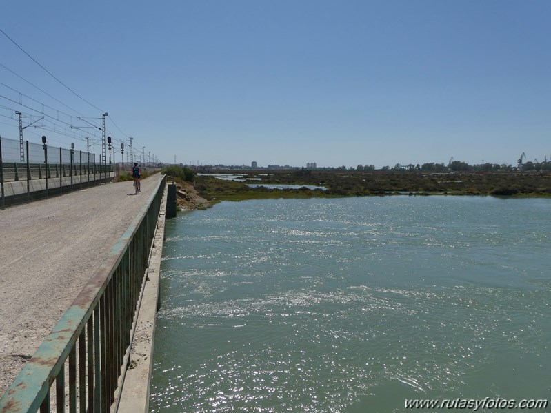 Bici Cádiz - Puerto de Santa María - Puerto Real - San Fernando - Cádiz