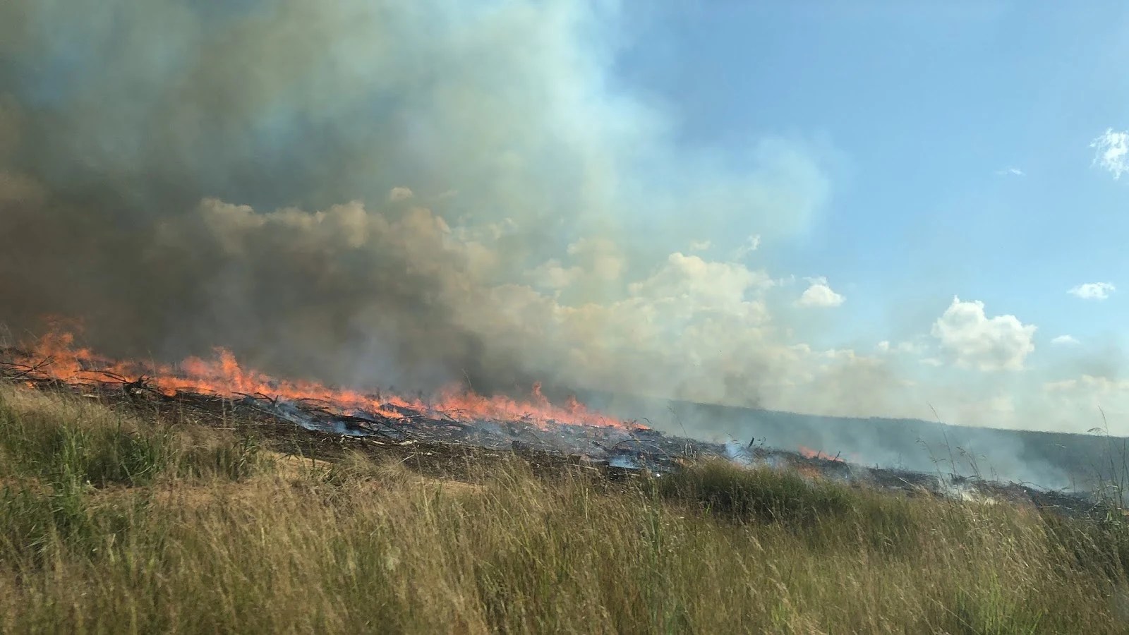 feu de brousse
