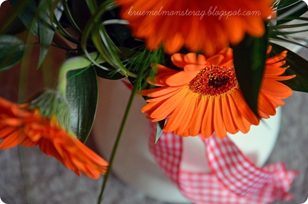 12 12 2012 photochallenge LET IT BLOOM (2)