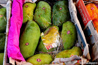 Haati Jhullah Aam, mangoes