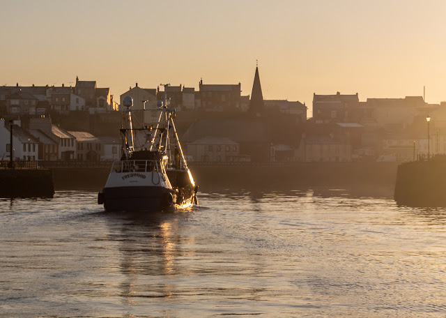Photo of Fredwood entering Maryport Basin from the Solway Firth