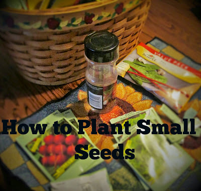 How to Plant Small Seeds