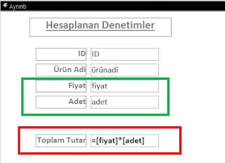 Access'te hesaplanan denetimler