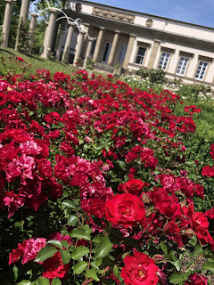 ドイツのローズ・ガーデンをお散歩〜Rosensteinpark Stuttgart〜