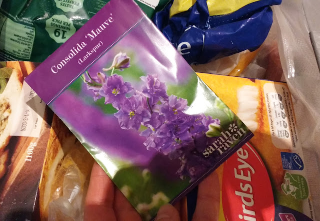 starting a cut flower patch at the allotment