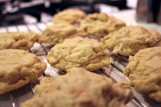 Lofthouse-Style Peanut Butter Chip Cookies with Peanut Butter Frosting by freshfromthe.com