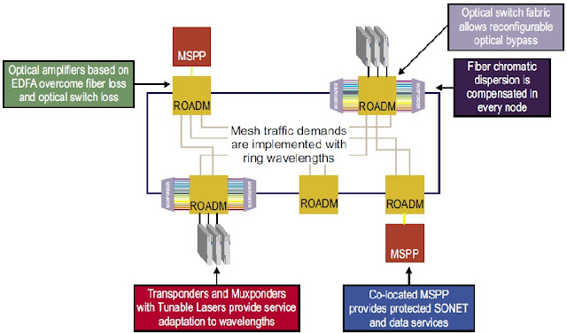 AON network