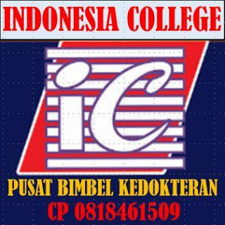 Indonesia College