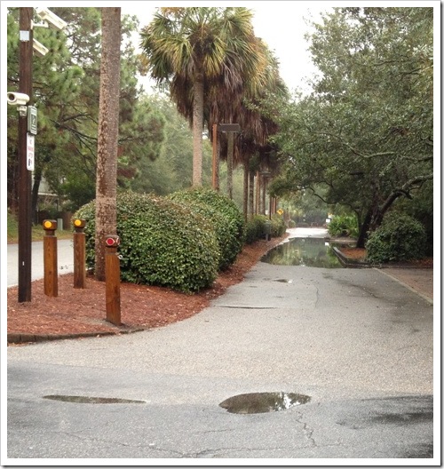 Hilton Head path puddle