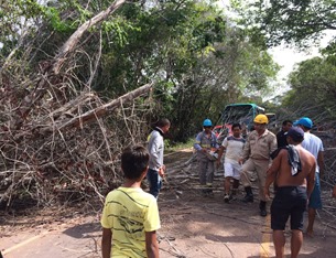 Árvore cai, atinge motoqueiro e deixa BR-163 bloqueada em Santarém