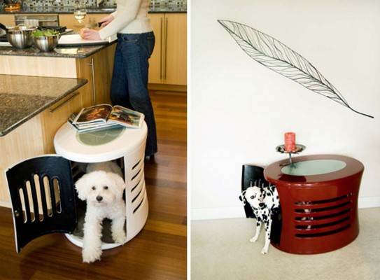 modern small dog house design