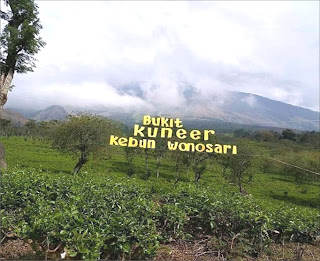 Wisata Bukit Kuneer Malang