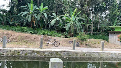 Foto-foto di Embung Talang Abang